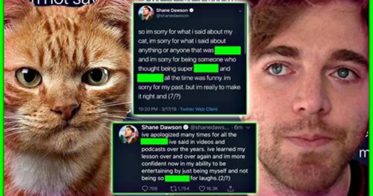 Shane Dawson Cat Video Leaked Animal Abuse