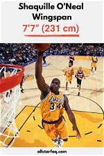 Shaq Wingspan: Unveiling the Secrets of His Dominance