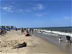Shark Attacks at Rehoboth Beach