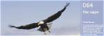Soar to New Heights: Exploring the Majestic Summits of Mount Yamal