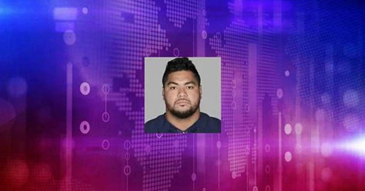 Stephen Paea Net Worth 2024 |