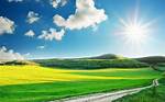 Sunny