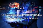 Surprising Insights and Uncovered Facts
