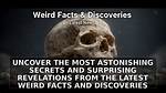 Surprising Revelations and Delightful Discoveries