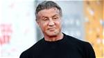 Sylvester Stallone: a Timeless Hollywood Icon