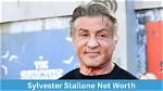 Sylvester Stallone's Net Worth: a Millionaire's Fortune