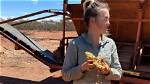 The Australian Gold Prospector Tyler Mahoney's Relationship Status. ·
