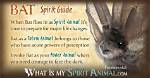 The Bat Spirit Animal | Blognews