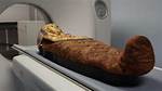 The Fascinating World of Mummy Casts: Unlocking the Secrets of the Past