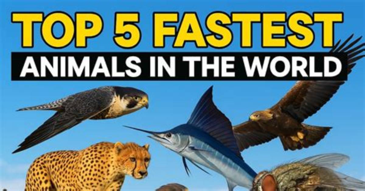 The Fastest Animal in the World: Nature's Speedsters