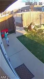 The Heartbreaking Cctv Footage: Little Boy and His Mother's Last Moments