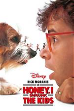The Honey I Shrunk the Kids Stars: Where Are They Now?