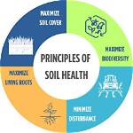 The Importance of Soil Health in Columbia Sc Landscapes