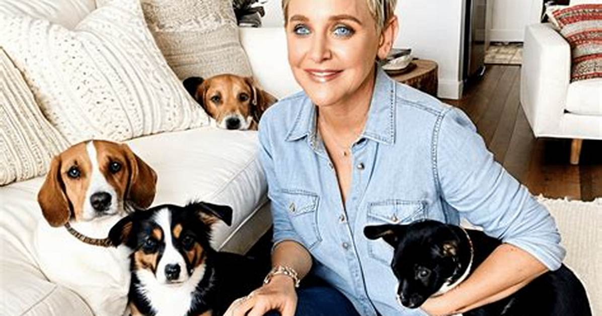 The Inspiring Journey of Ellen Degeneres and Her Impact on Entertainment and Society