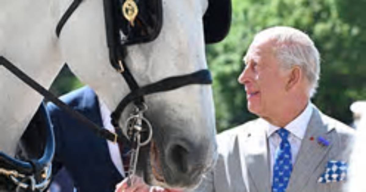 The Majestic Legacy of King Charles' Horse at Royal Ascot: an Unforgettable Journey