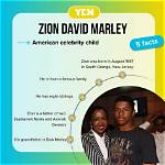The Reggae Royalty: Zion David Marley's Musical Legacy