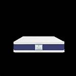 The Rise and Shine of the Mattress Actress: a Journey of Dreams and Fame