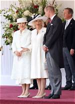 The Royal Divide: Queen Camilla and Prince Harry's Strained Relationship