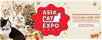 The Ultimate Destination for Cat Lovers!