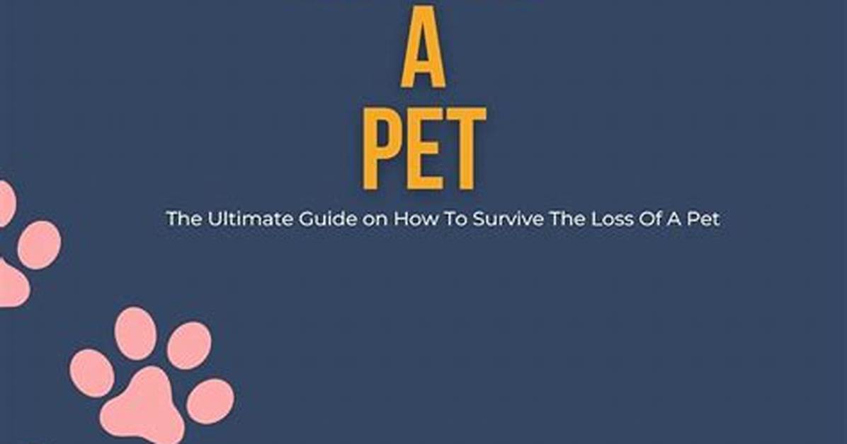 The Ultimate Guide: How to Cope and Heal After Unrequited Love
