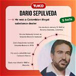 The Ultimate Guide to Dario Sepulveda's Artistic Journey