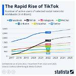 Tiktok Court8610: the Rise of a Social Media Phenomenon