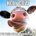 Udderly Hilarious: a Dive into Funny Cow Memes