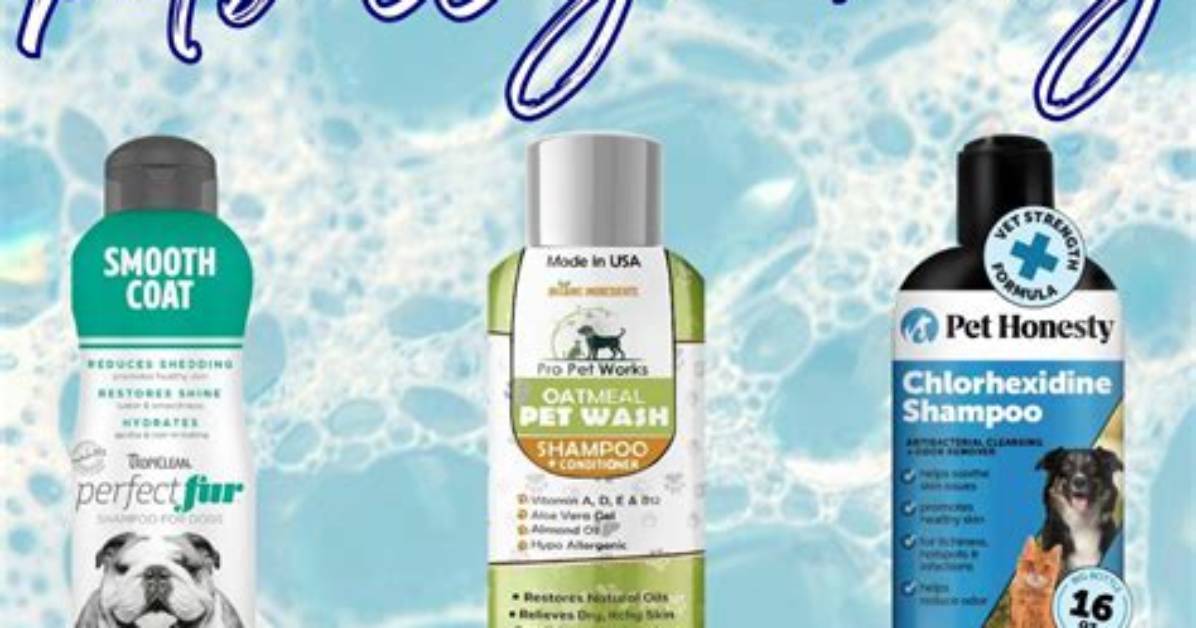 Ultimate Guide to Dog Shampoo for Dry Skin: Choosing the Best Products for Your Furry Friend