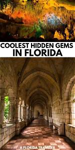 Uncover Hidden Gems and Artistic Insights