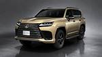 Uncover the Faces Behind the New Lexus Commercial: Exclusive Insights Revealed