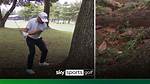 Uncover the Roots of Xander Schauffele: Unraveling His Diverse Heritage