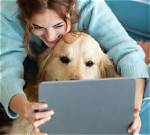 Uncover the Secrets of Exceptional Dog Care at Ellie's Mutt Hut Ukiah
