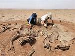 Uncover the Secrets of the Barren Teump: Unraveling Its History and Significance