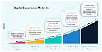 Uncovering Experience, Maturity, and Impact