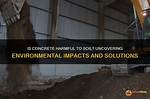 Uncovering Harmful Impacts and Empowering Solutions