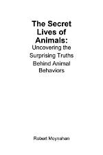 Uncovering Surprising Truths and Explorations