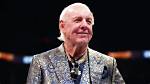 Uncovering the Enigmatic World of Ric Flair's Wife