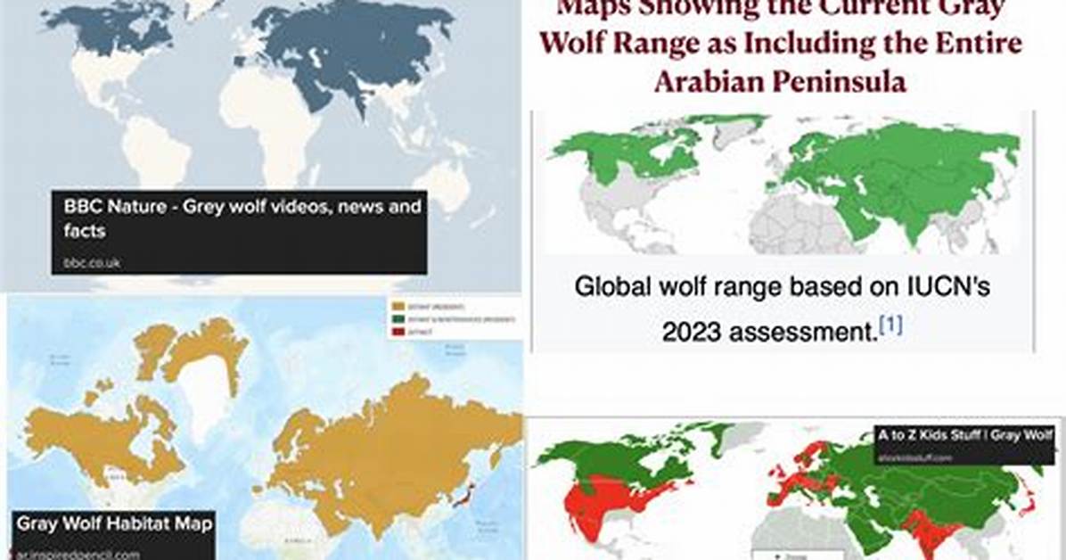 Uncovering the Private World of the Wolf of Wall Street's Daughter
