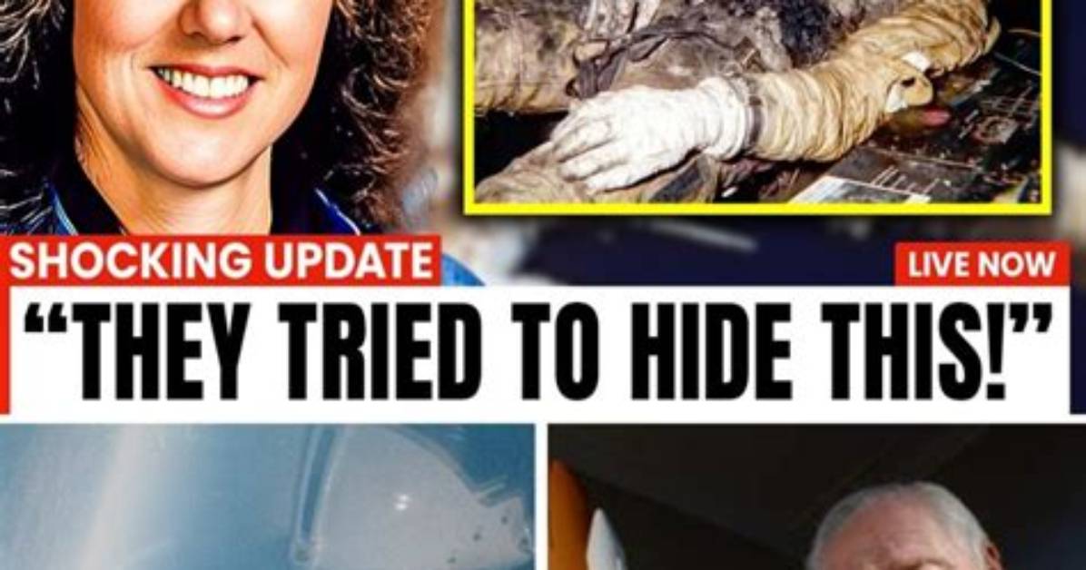 Uncovering the Truth: Amanda Hoffert Accident Unraveled