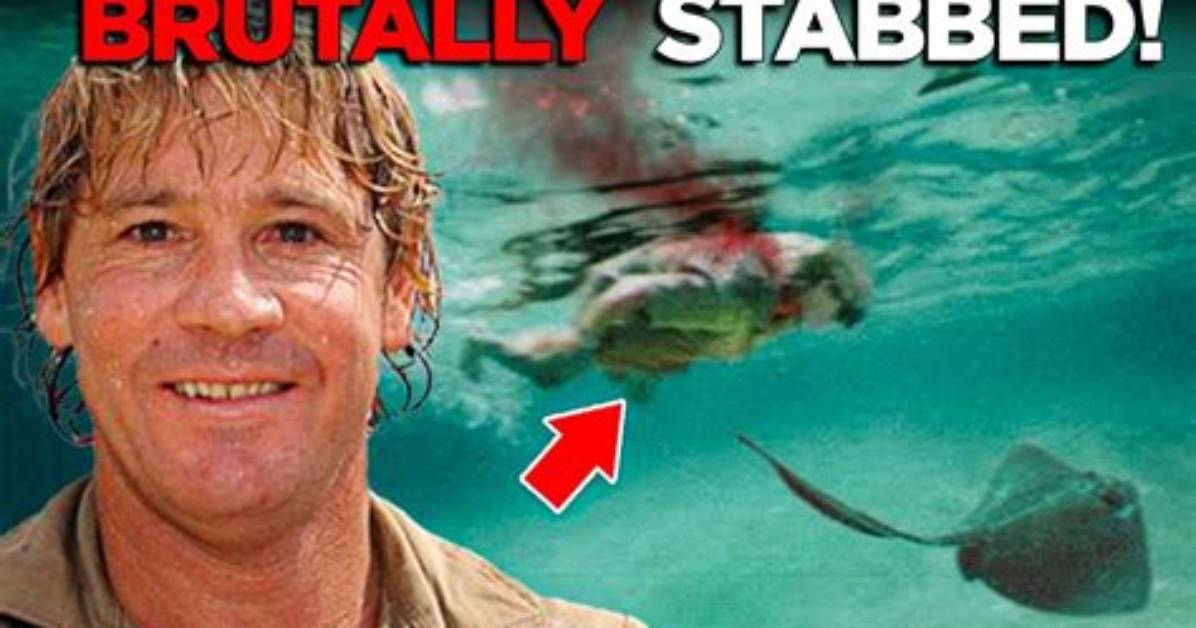 Uncovering the Truth Behind the Steve Irwin Death Video