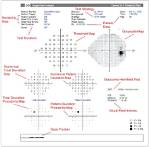 Understanding Bayley Humphrey Disease: a Comprehensive Guide