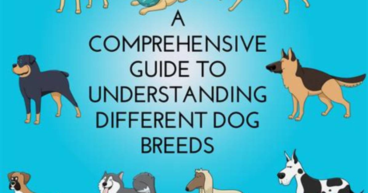 Understanding Dog Breeds: a Comprehensive Guide to Choosing the Right Companion