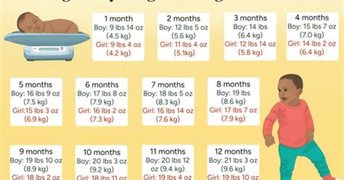 Understanding the Average Weight for a 5'5" Individual