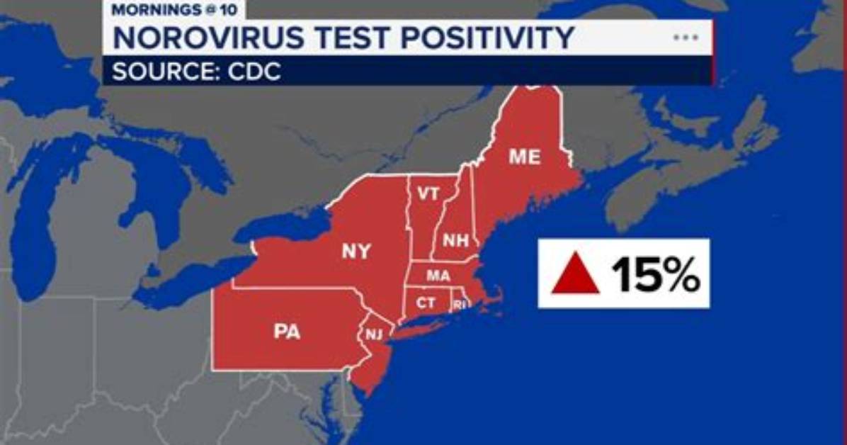 Understanding the Current Stomach Virus Outbreak Map
