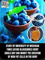 Understanding the Relationship Between Blueberries and Heartburn