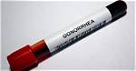 Understanding Usher Std: a Comprehensive Guide