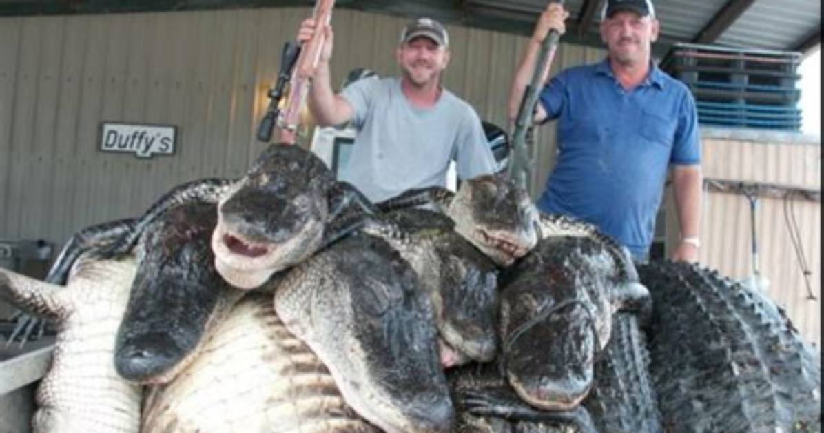 Unearthing the Income of Alligator Hunters
