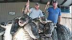 Unearthing the Income of Alligator Hunters