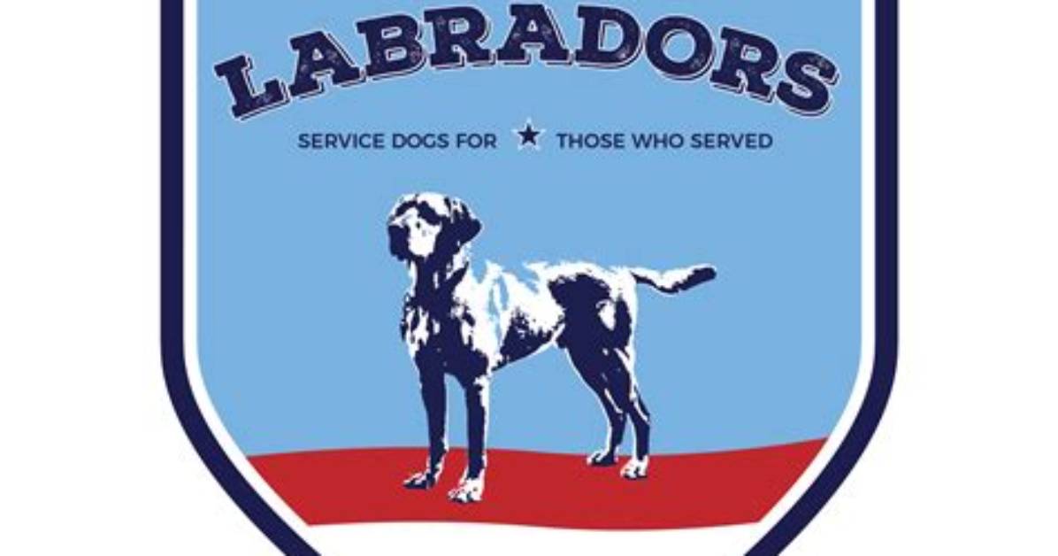 Unleash the Heroic Potential of Hero Labradors: Uncover Surprising Insights