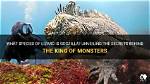 Unlock the Secrets of "Lizard from Monsters Inc.": Uncover Hidden Insights And